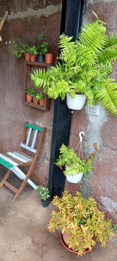 Casa Nieves De Mario Villa ซานตาครูซเดลาปัลมา ภายนอก รูปภาพ