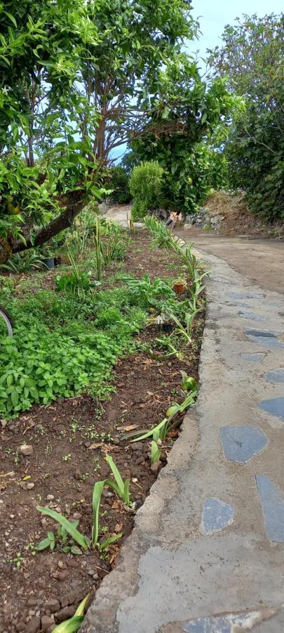Casa Nieves De Mario Villa ซานตาครูซเดลาปัลมา ภายนอก รูปภาพ