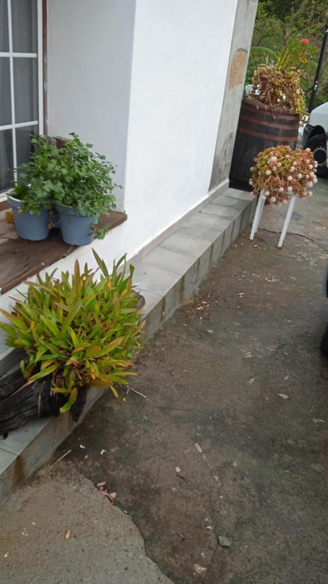 Casa Nieves De Mario Villa ซานตาครูซเดลาปัลมา ภายนอก รูปภาพ